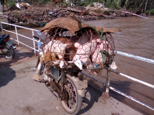 Market trader produce Mekong Delta