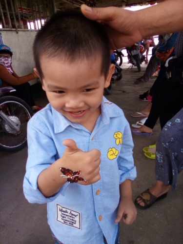 Butterfly sticker Mekong Delta