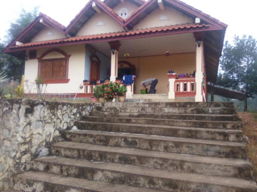 IMG_20190108_080900_burst_01