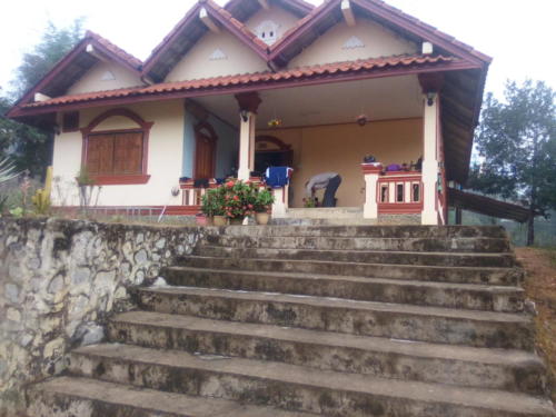 IMG_20190108_080900_burst_02