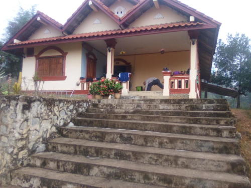 IMG_20190108_080904_burst_01