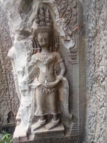 IMG_20190203_140451_1