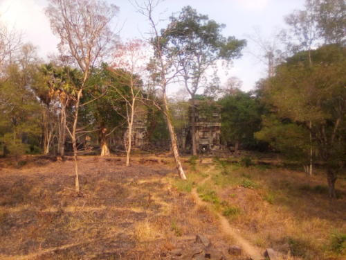 IMG_20190203_141807_burst_01