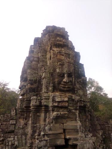 IMG_20190207_121739_burst_03