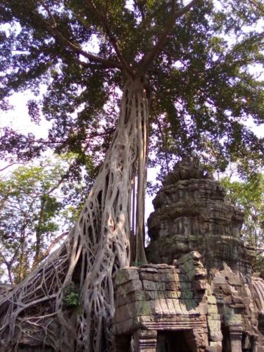 IMG_20190207_131747_burst_02