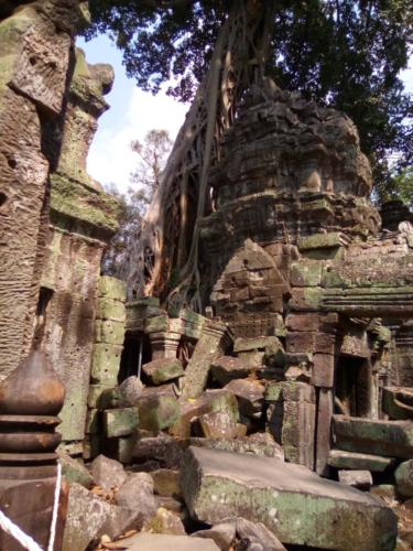Ankor Wat Siem Reap