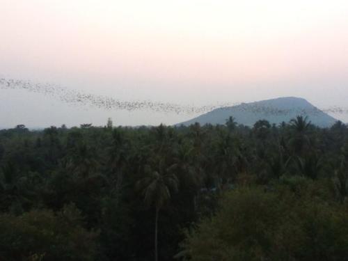 IMG_20190209_180733_burst_02_kindlephoto-612288544